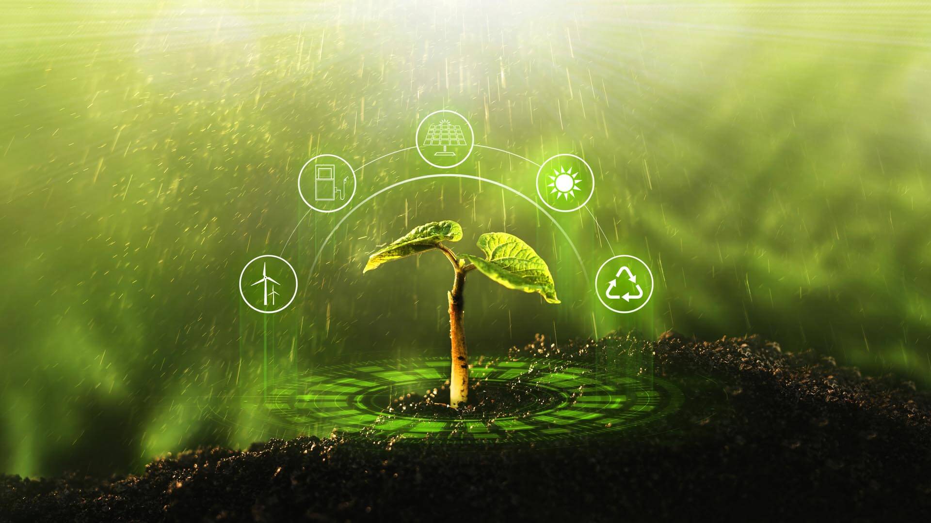 Trasformazione green